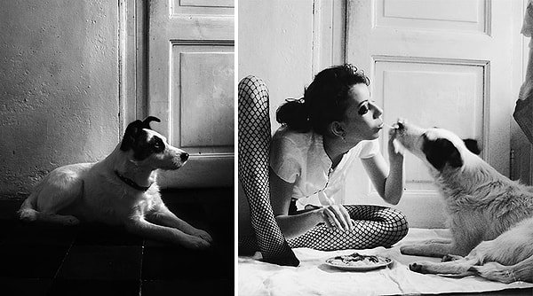 Тем не менее, он очень заботливый, умный и поддается обучению