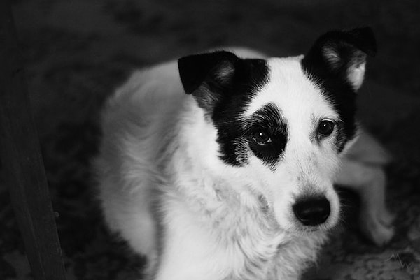 Его зовут Энтони и ему 15 лет