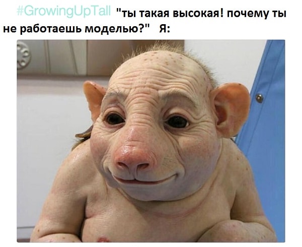 7. Когда кто-либо предлагает тебе стать моделью, беря в расчет только твой рост: