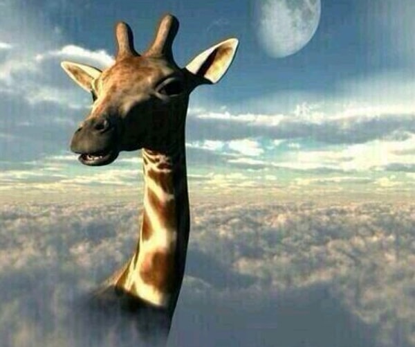 15. Надела каблуки: