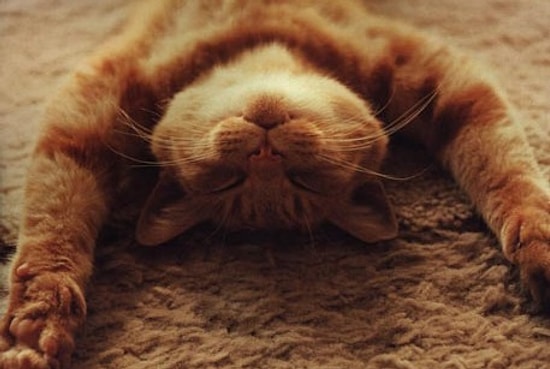 15 простых способов расслабиться: советы ученых