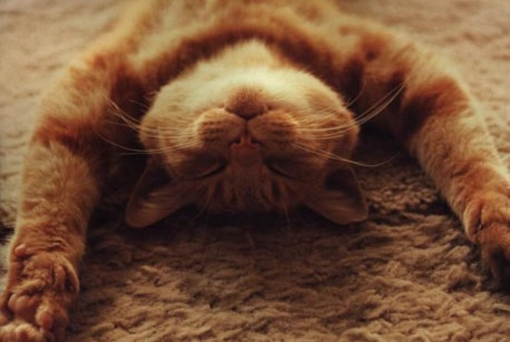 15 простых способов расслабиться: советы ученых