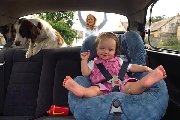 5. Каждые выходные вы ездите в парк, потому что только там они чувствуют себя по-настоящему счастливыми.