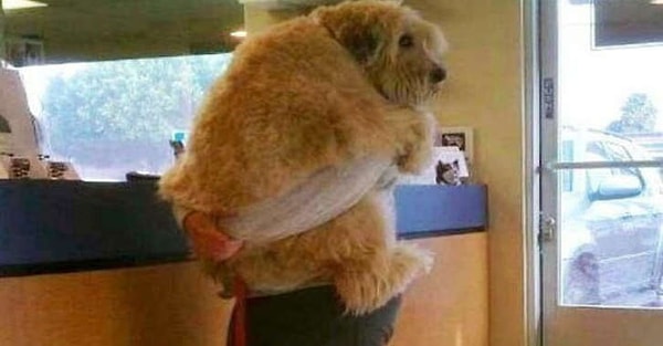 10. Если им страшно, зовут вас на помощь и прижимаются всем телом.