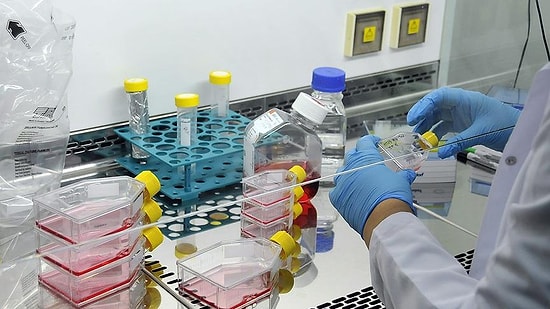 İlaçta Molekül Üretimine Türk İmzası