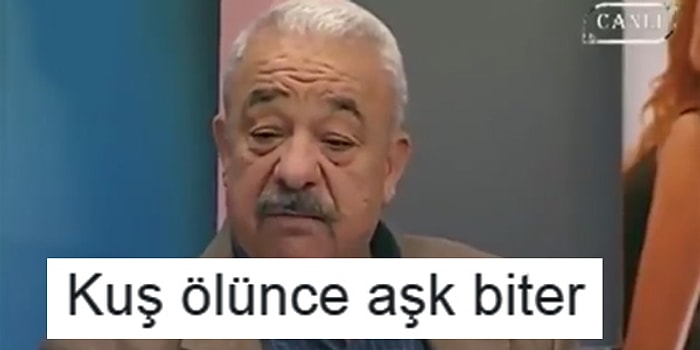 Mizahıyla Dert Tasa Bırakmayan Antidepresan Etkili 15 Twitter Video'su