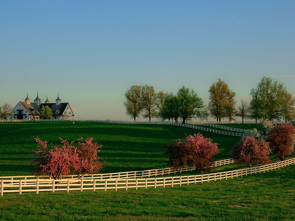 24. Лексингтон, Кентукки.