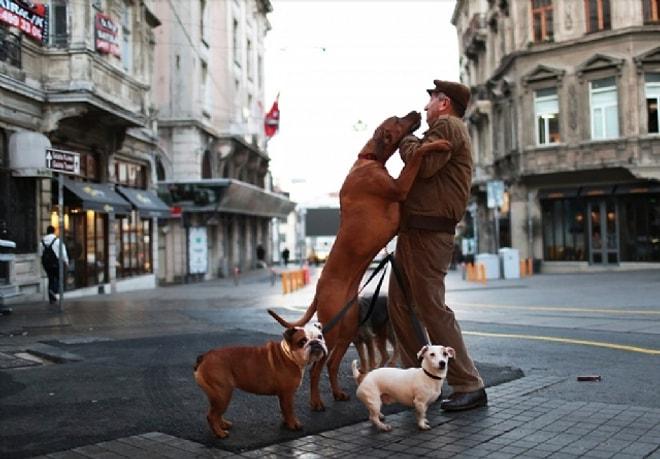 Karşılıklı Aşkın Kahramanı: Köpek Gezdiricisi Emekli Çoban Bayram Kozat