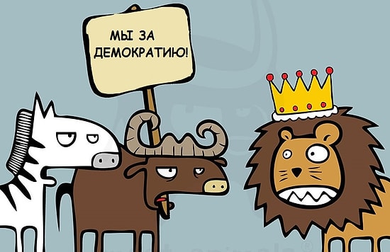 16 расстроенных животных и их проблемы