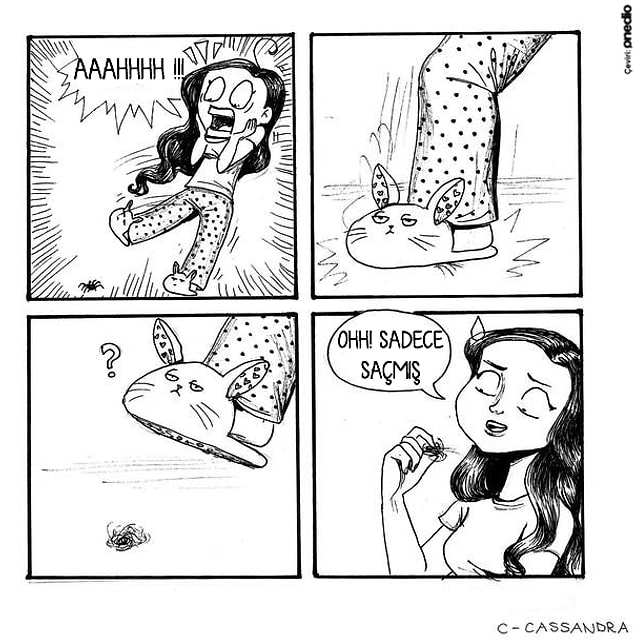 6.