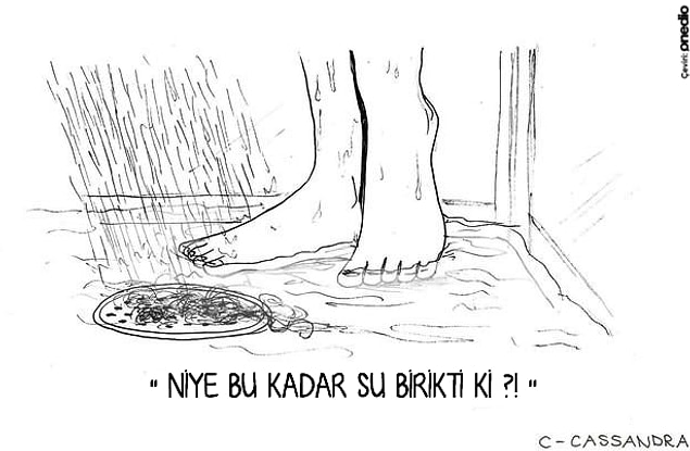 18.