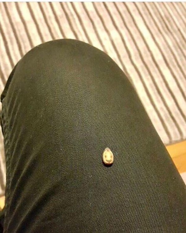 5. И ты туда же :)