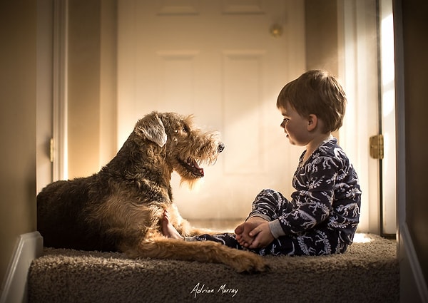 11. Общение двух видов