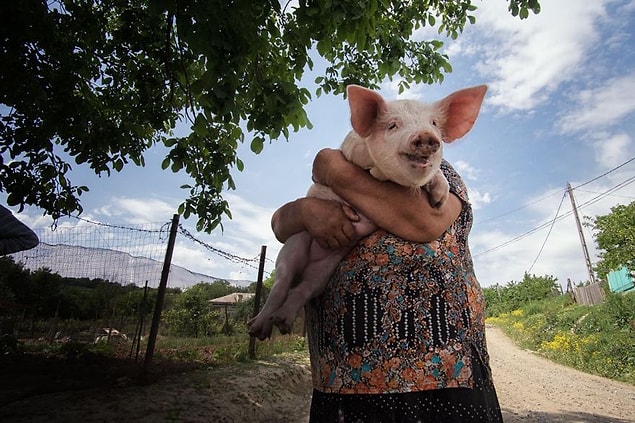 Улыбающаяся женщина 🐷 Хрю-хрю