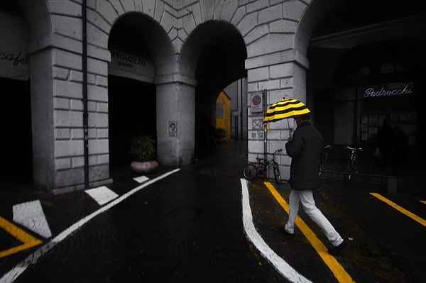 23. Городской хамелеон