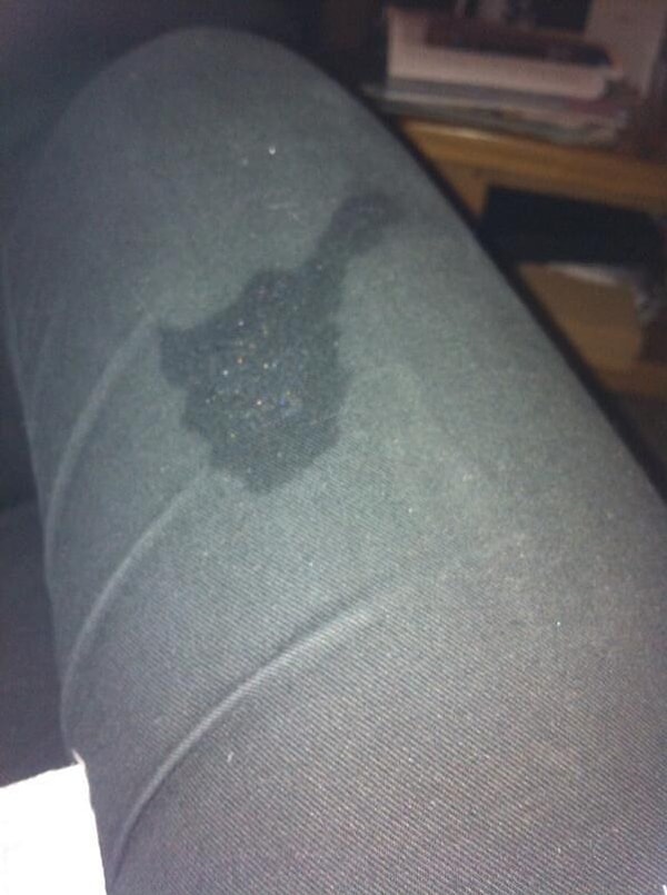 13. Морда на коленях = лужица слюней 🐶