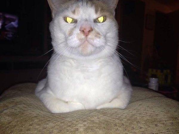 10. Ночью можно просто не дойти до туалета: