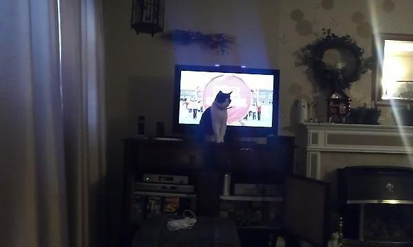 12. Любимое насиженное место 📺 :