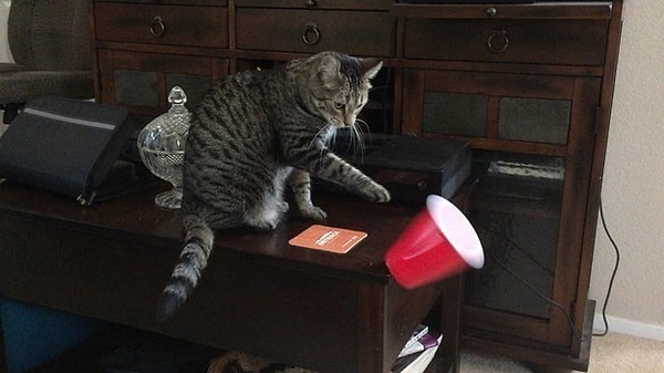 15. Я научу тебя порядку, ленивый засранец!