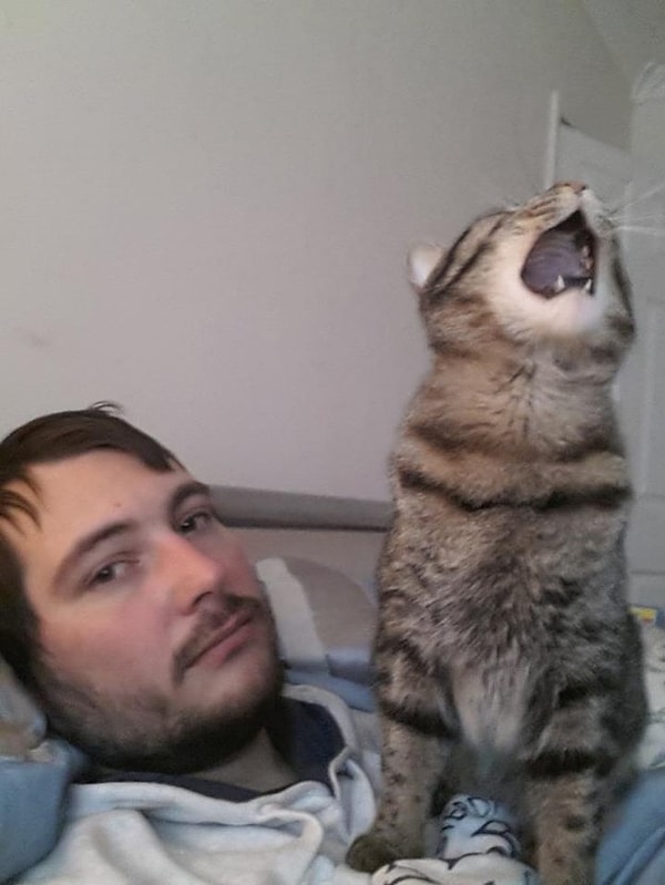 18. Вставай, мне скучно! Ну и что, что еще только пять утра! ⏰