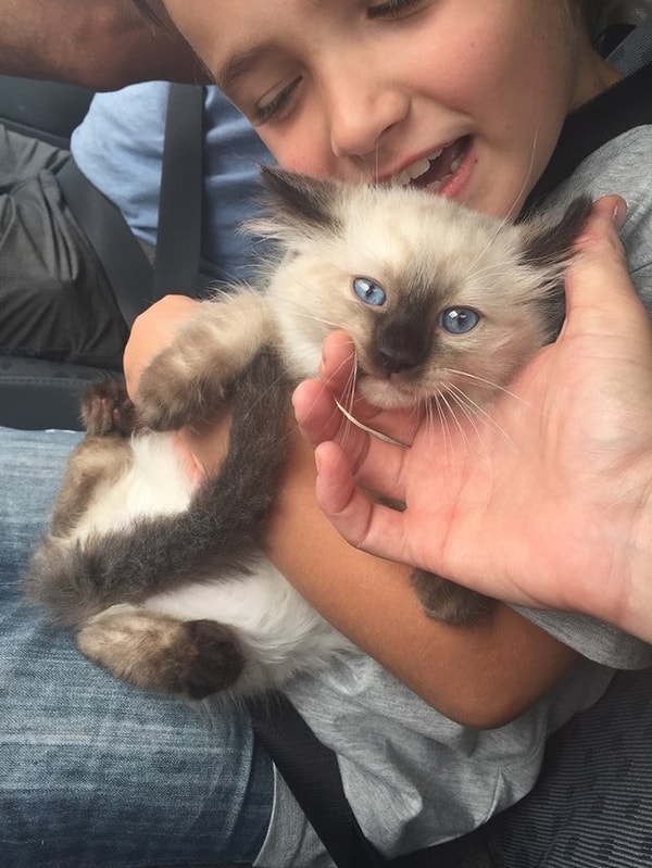 7. Малыш только что познакомился со своей новой семьей.