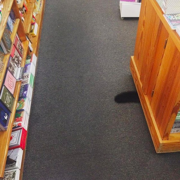 14. Профессиональный игрок в прятки.