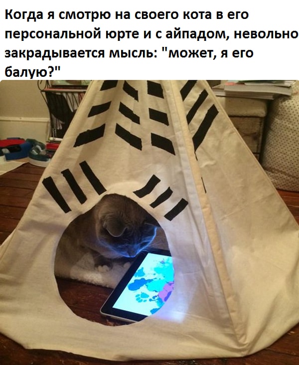 17. Принцы берут от жизни все.