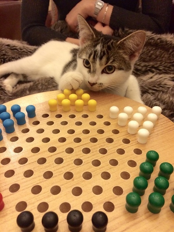 26. Умелый стратег.