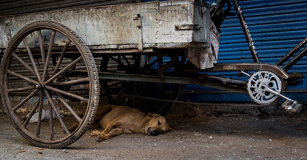 Кто-то все еще спит, пока другие начинают рабочий день