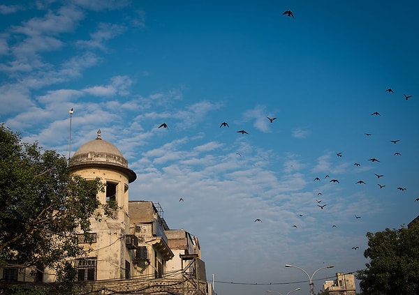 Утро заканчивается, чтобы уступить место дню с его прекрасным небом и вольными птицами