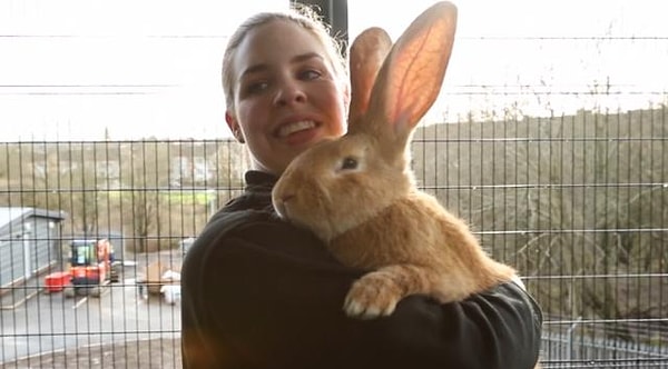 "Ведь обычно кроликов берут, потому что они занимают мало места"