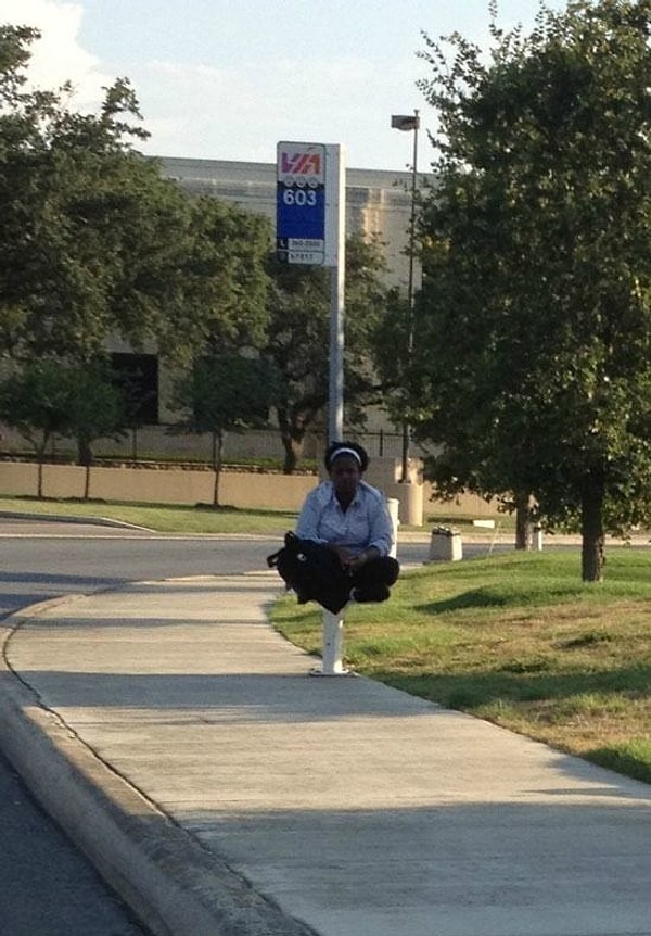 18. Она умеет летать?