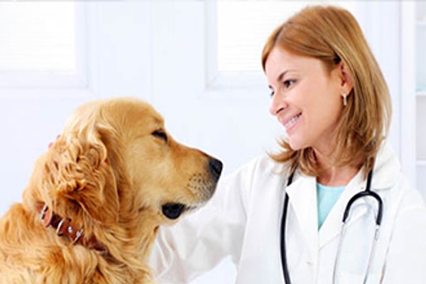 Медицина-Биология-Экология