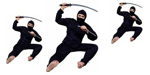 1. Ninjalar