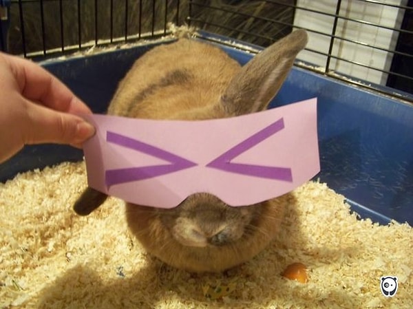 9. «Уйди с глаз моих!»