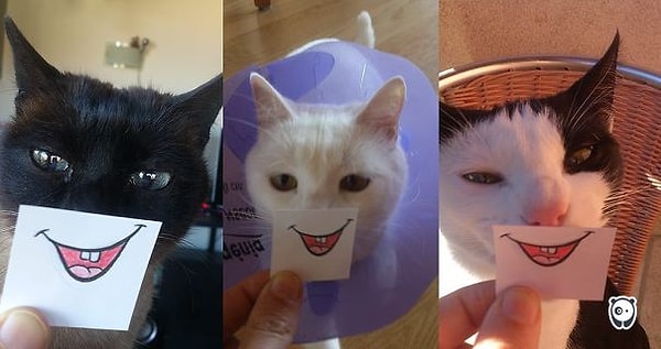 7. Веселое трио