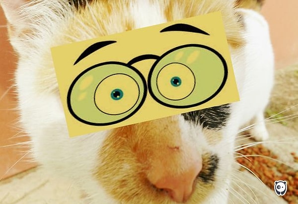 12. «Да что ты говоришь?!»