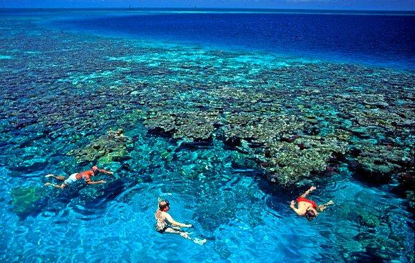 1. Belize Bariyer Resifi / Belize
