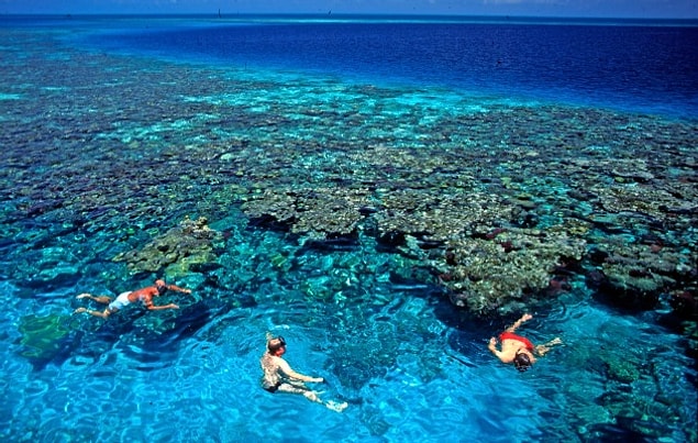 1. Belize Bariyer Resifi / Belize