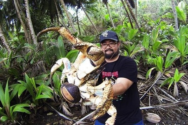 Снимок быстро разошелся по интернету.