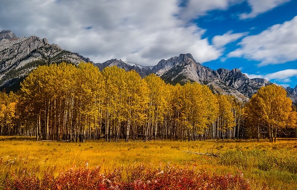 13. Манящие краски осени.