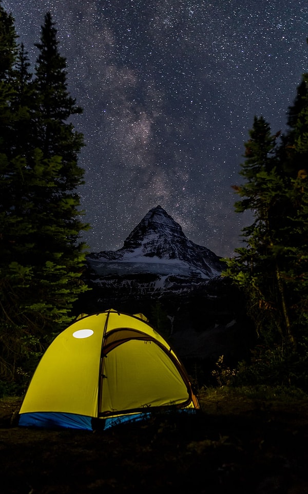 16. Несмотря на опасность быть съеденным гризли, оно того стоит.