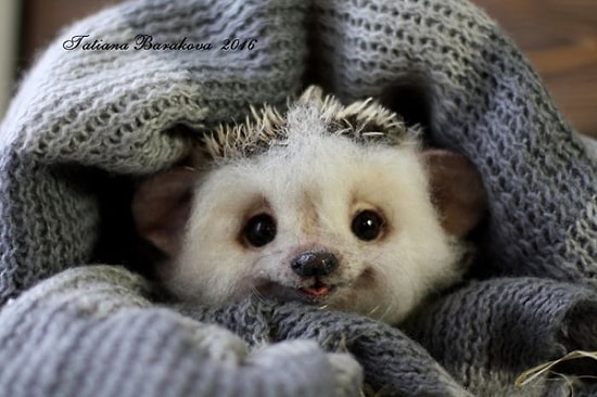 Мастерица из Санкт-Петербурга и ее валяные игрушки