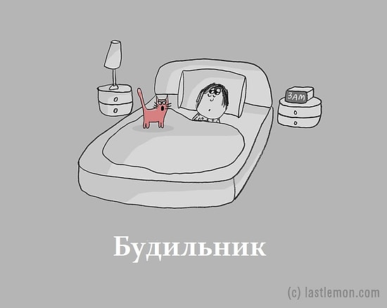 17 важнейших кошачьих профессий