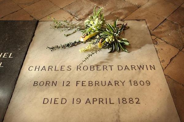13. Darwin, kendisi gibi önemli bilim insanları John Herschel ve Isaac Newton'ın defnedildiği Westminster Manastır Kilisesi içine gömüldü.