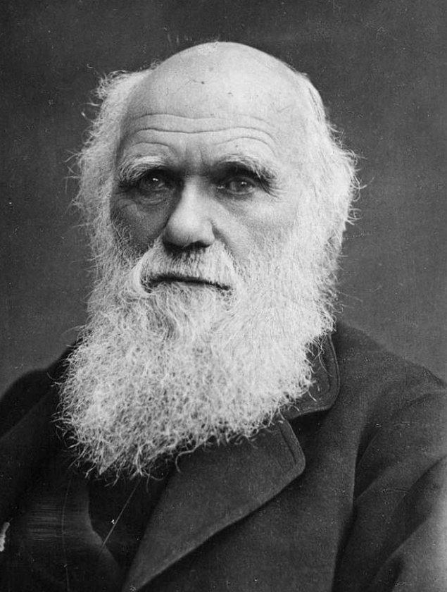 12. ''En çok uyum sağlayan hayatta kalır'' sözünü ortayan atan kişi Darwin değildi.