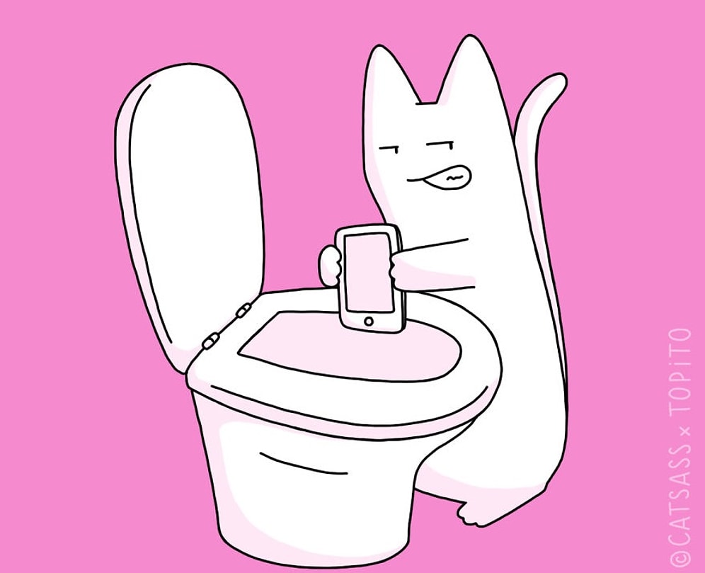 7 причин завести кота после разрыва с любимым человеком