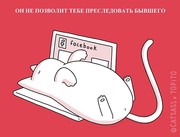 3. Кот не позволит тебе преследовать твоего бывшего/ бывшую