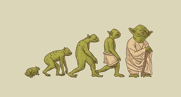 12. Yoda'nın evrimi