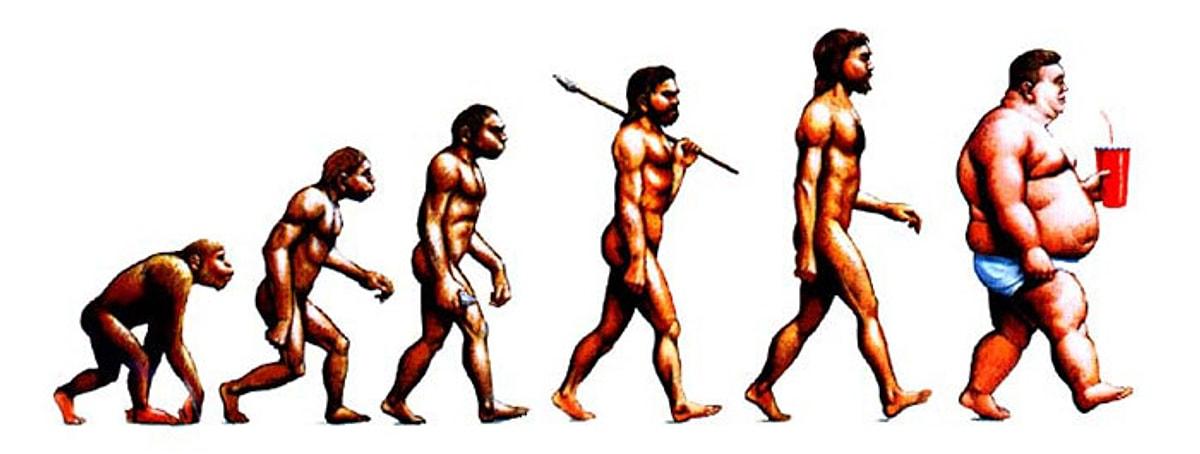 Эволюция слабые сильные. Ступени эволюции человека. Эволюция человека от обезьяны. От обезьяны к человеку. Развитие человека.
